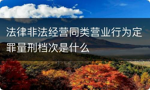 法律非法经营同类营业行为定罪量刑档次是什么