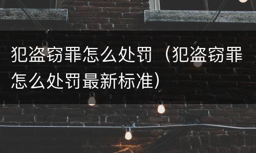 犯盗窃罪怎么处罚（犯盗窃罪怎么处罚最新标准）