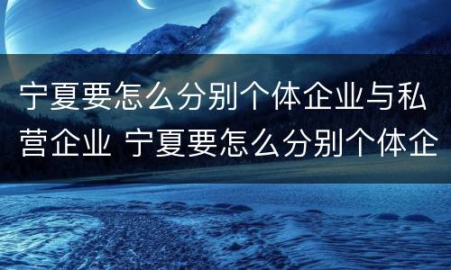 宁夏要怎么分别个体企业与私营企业 宁夏要怎么分别个体企业与私营企业合作