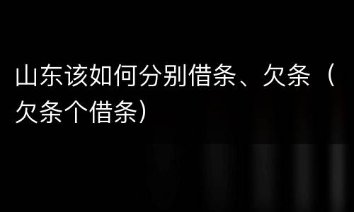 山东该如何分别借条、欠条（欠条个借条）