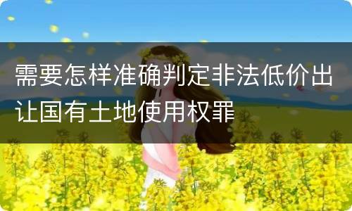 需要怎样准确判定非法低价出让国有土地使用权罪