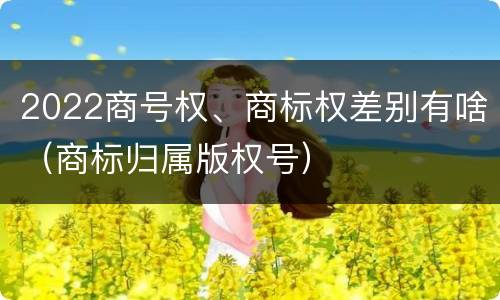 2022商号权、商标权差别有啥（商标归属版权号）