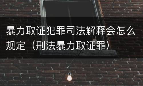暴力取证犯罪司法解释会怎么规定（刑法暴力取证罪）