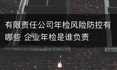 有限责任公司年检风险防控有哪些 企业年检是谁负责