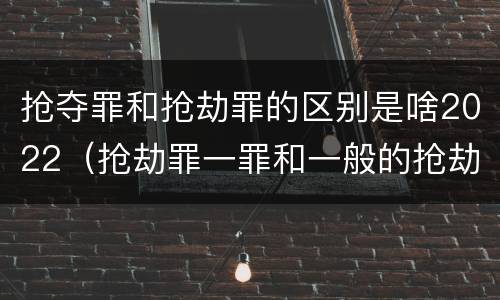 抢夺罪和抢劫罪的区别是啥2022（抢劫罪一罪和一般的抢劫罪）