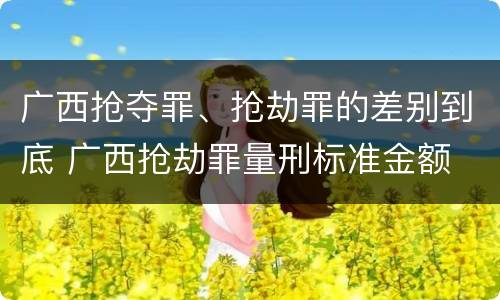 广西抢夺罪、抢劫罪的差别到底 广西抢劫罪量刑标准金额