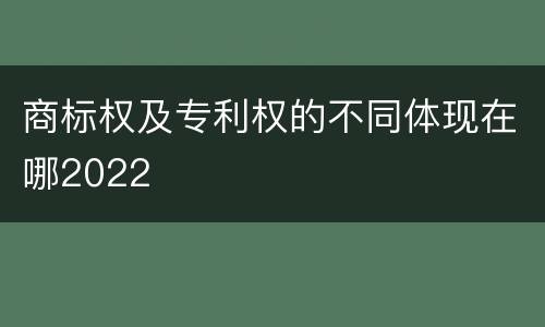 商标权及专利权的不同体现在哪2022