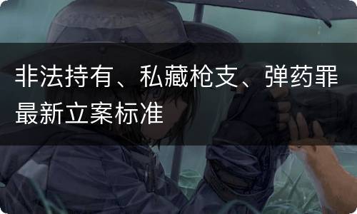 非法持有、私藏枪支、弹药罪最新立案标准