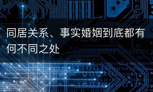 同居关系、事实婚姻到底都有何不同之处