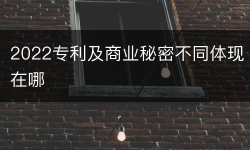 2022专利及商业秘密不同体现在哪