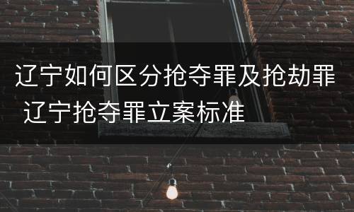 辽宁如何区分抢夺罪及抢劫罪 辽宁抢夺罪立案标准