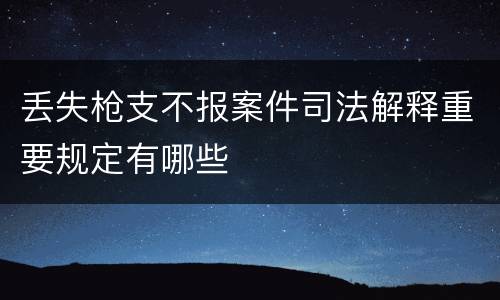 丢失枪支不报案件司法解释重要规定有哪些