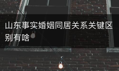 山东事实婚姻同居关系关键区别有啥