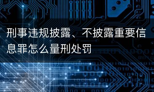刑事违规披露、不披露重要信息罪怎么量刑处罚