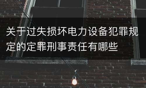 关于过失损坏电力设备犯罪规定的定罪刑事责任有哪些