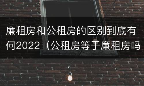 廉租房和公租房的区别到底有何2022（公租房等于廉租房吗）