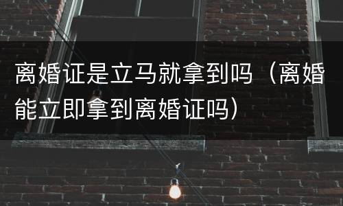 离婚证是立马就拿到吗（离婚能立即拿到离婚证吗）