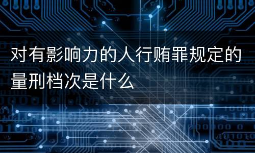 对有影响力的人行贿罪规定的量刑档次是什么