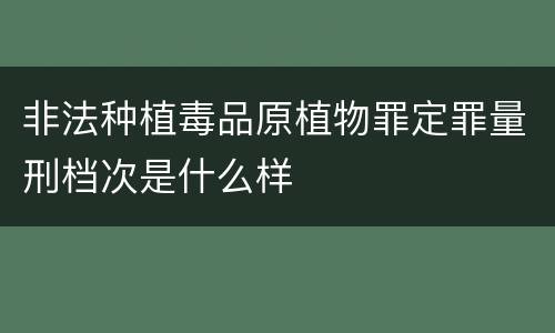 非法种植毒品原植物罪定罪量刑档次是什么样