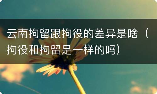 云南拘留跟拘役的差异是啥（拘役和拘留是一样的吗）