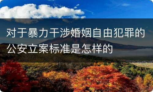 对于暴力干涉婚姻自由犯罪的公安立案标准是怎样的