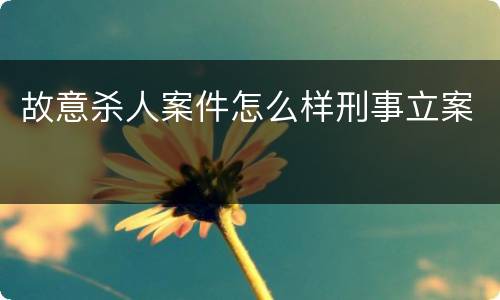 故意杀人案件怎么样刑事立案