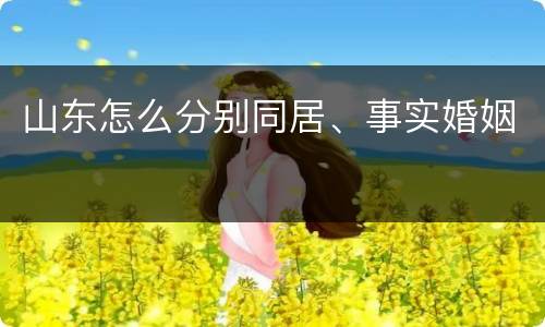 山东怎么分别同居、事实婚姻