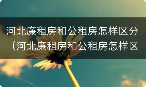 河北廉租房和公租房怎样区分（河北廉租房和公租房怎样区分出来）
