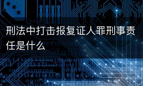 刑法中打击报复证人罪刑事责任是什么