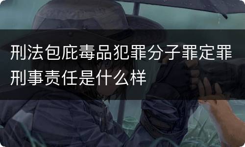 刑法包庇毒品犯罪分子罪定罪刑事责任是什么样