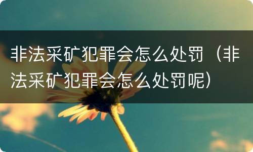 非法采矿犯罪会怎么处罚（非法采矿犯罪会怎么处罚呢）