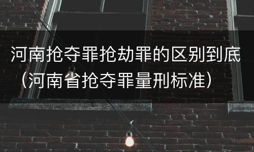 河南抢夺罪抢劫罪的区别到底（河南省抢夺罪量刑标准）