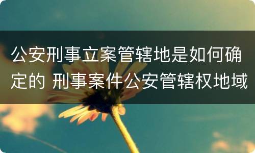 公安刑事立案管辖地是如何确定的 刑事案件公安管辖权地域归属