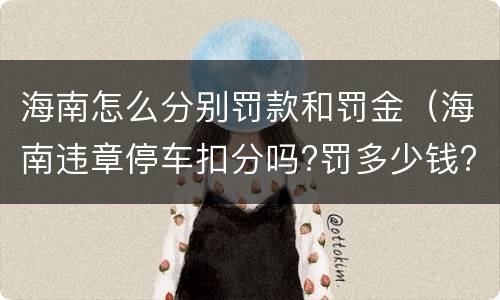 海南怎么分别罚款和罚金（海南违章停车扣分吗?罚多少钱?）