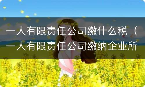 一人有限责任公司缴什么税（一人有限责任公司缴纳企业所得税吗）
