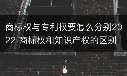 商标权与专利权要怎么分别2022 商标权和知识产权的区别