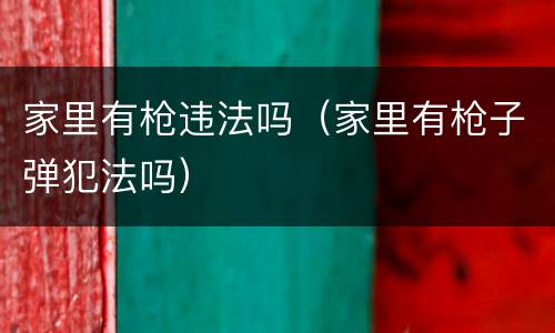 家里有枪违法吗（家里有枪子弹犯法吗）