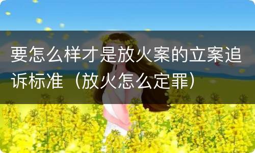 要怎么样才是放火案的立案追诉标准（放火怎么定罪）