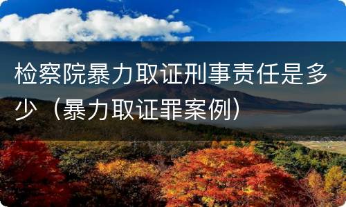 检察院暴力取证刑事责任是多少（暴力取证罪案例）
