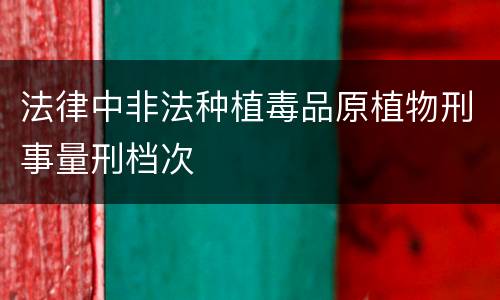 法律中非法种植毒品原植物刑事量刑档次