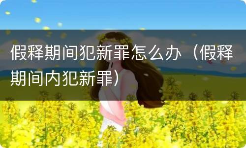 假释期间犯新罪怎么办（假释期间内犯新罪）