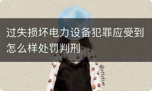 过失损坏电力设备犯罪应受到怎么样处罚判刑