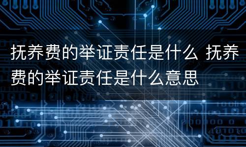 抚养费的举证责任是什么 抚养费的举证责任是什么意思