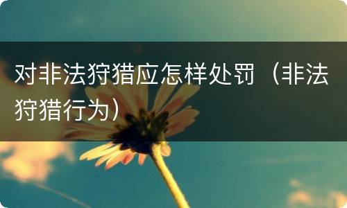 对非法狩猎应怎样处罚（非法狩猎行为）