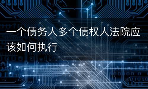 一个债务人多个债权人法院应该如何执行