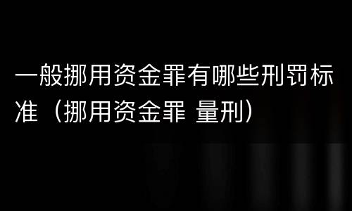 一般挪用资金罪有哪些刑罚标准（挪用资金罪 量刑）