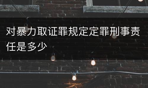 对暴力取证罪规定定罪刑事责任是多少