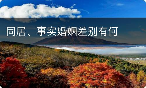 同居、事实婚姻差别有何