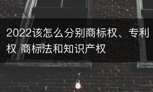 2022该怎么分别商标权、专利权 商标法和知识产权