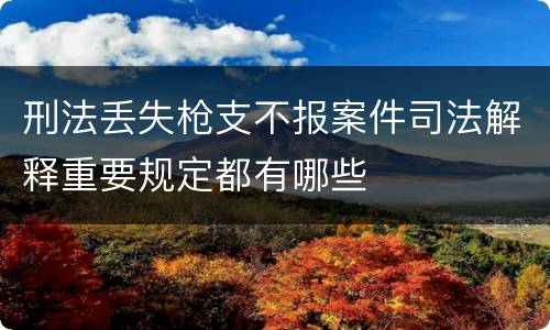 刑法丢失枪支不报案件司法解释重要规定都有哪些